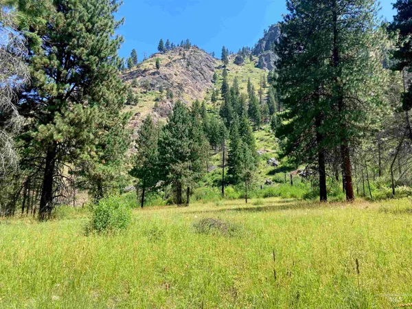 $975,000 | 3869 Salmon River Road, Riggins, ID 83549