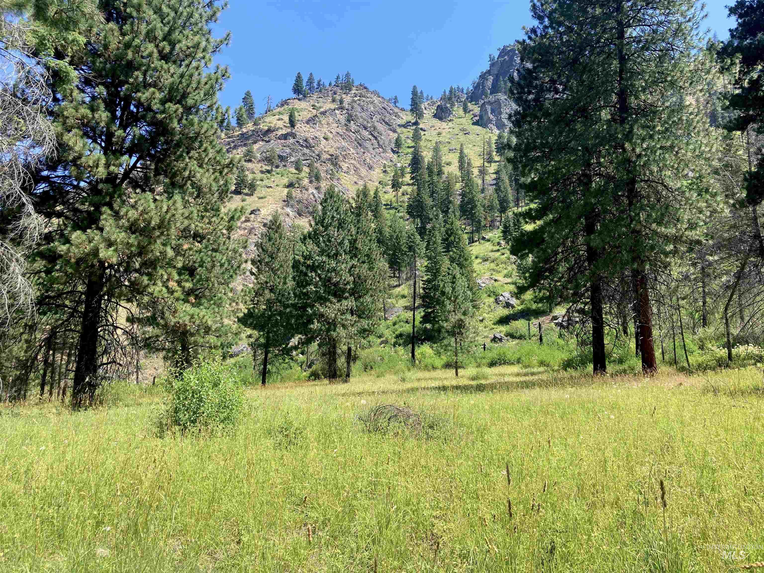 3869 Salmon River Road Riggins, ID 83549 - Photo 34 of 50