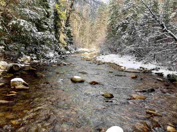 $975,000 | 3869 Salmon River Road, Riggins, ID 83549