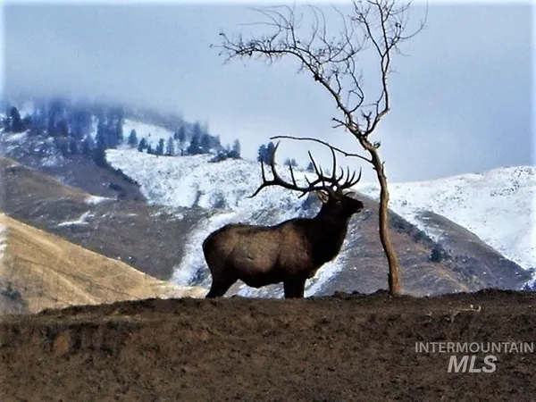 $975,000 | 3869 Salmon River Road, Riggins, ID 83549