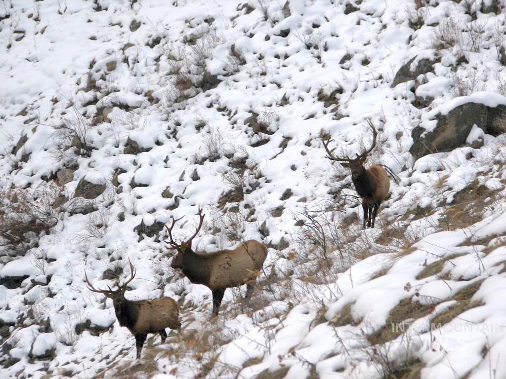 3869 Salmon River Road Riggins, ID 83549 - Photo 39 of 50