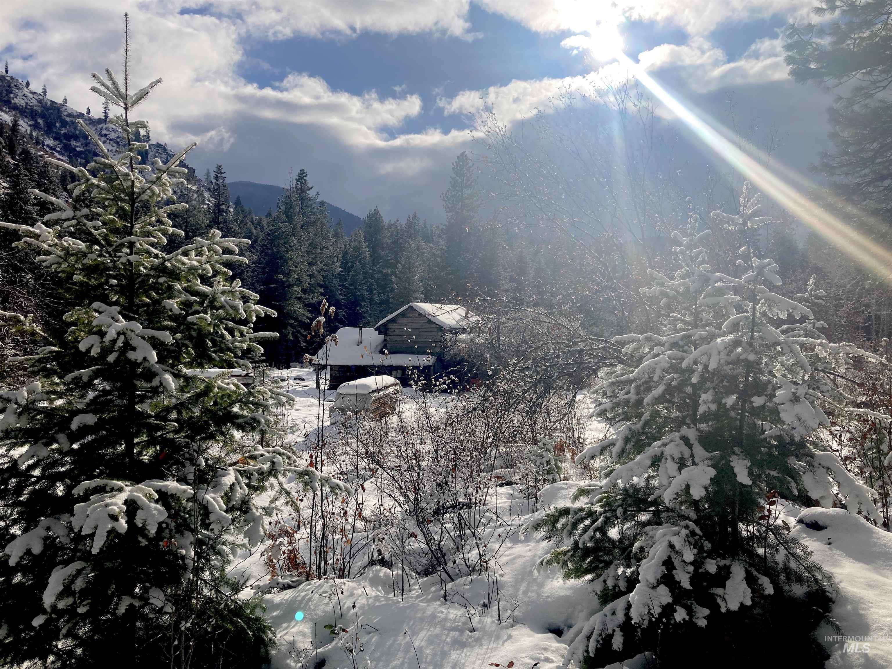 3869 Salmon River Road Riggins, ID 83549 - Photo 40 of 50