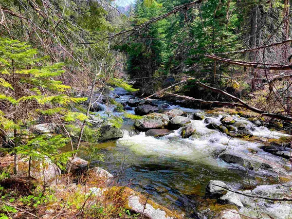 $975,000 | 3869 Salmon River Road, Riggins, ID 83549