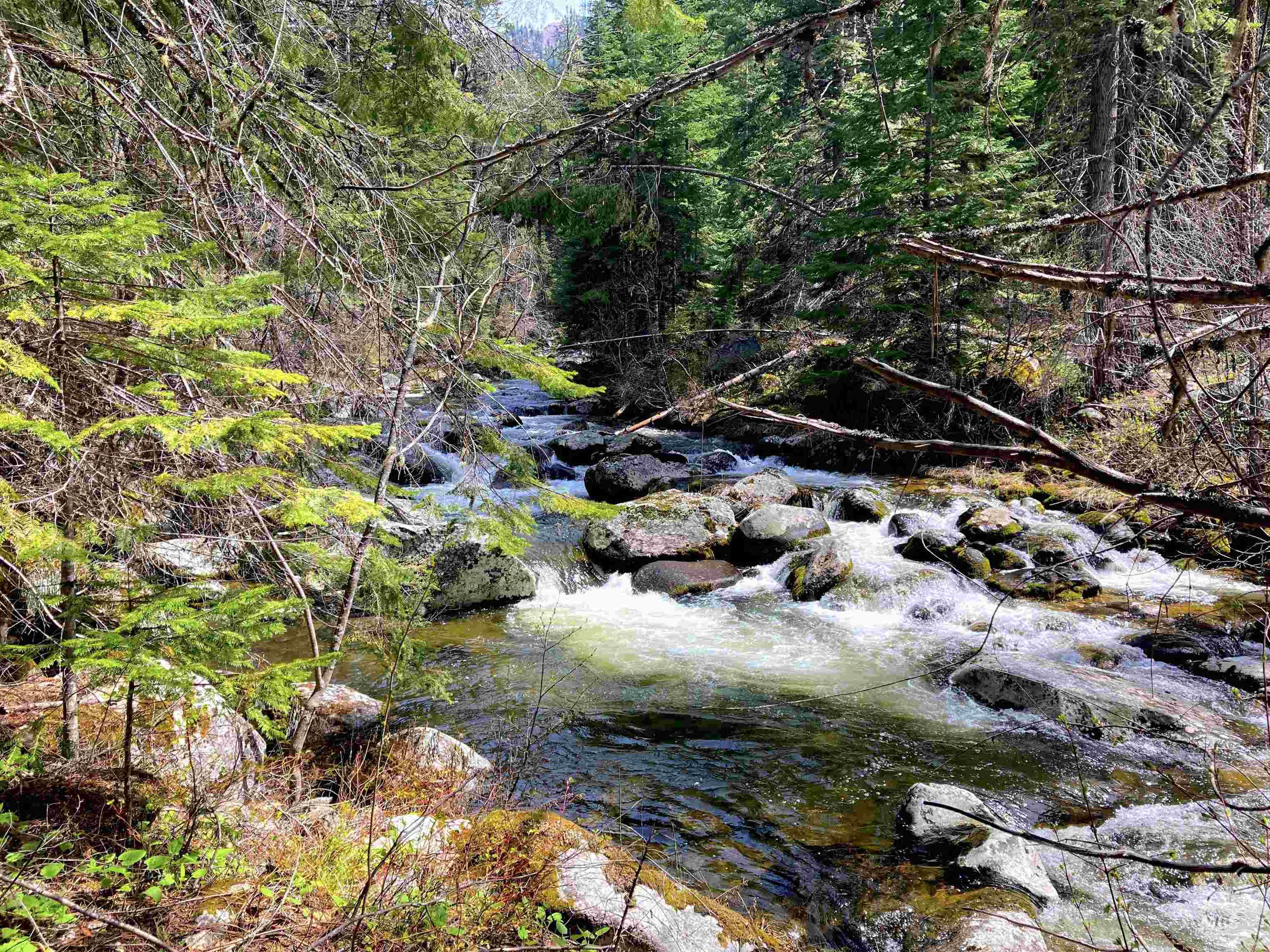 3869 Salmon River Road Riggins, ID 83549 - Photo 4 of 50