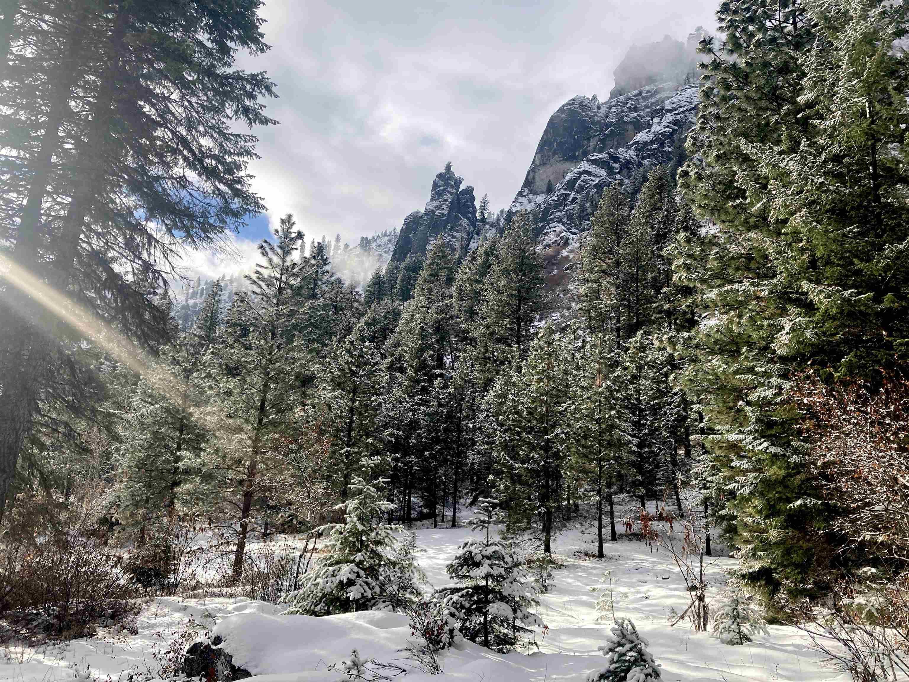 3869 Salmon River Road Riggins, ID 83549 - Photo 41 of 50