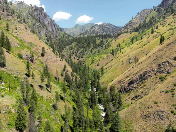 $975,000 | 3869 Salmon River Road, Riggins, ID 83549