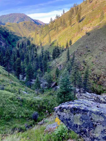 $975,000 | 3869 Salmon River Road, Riggins, ID 83549