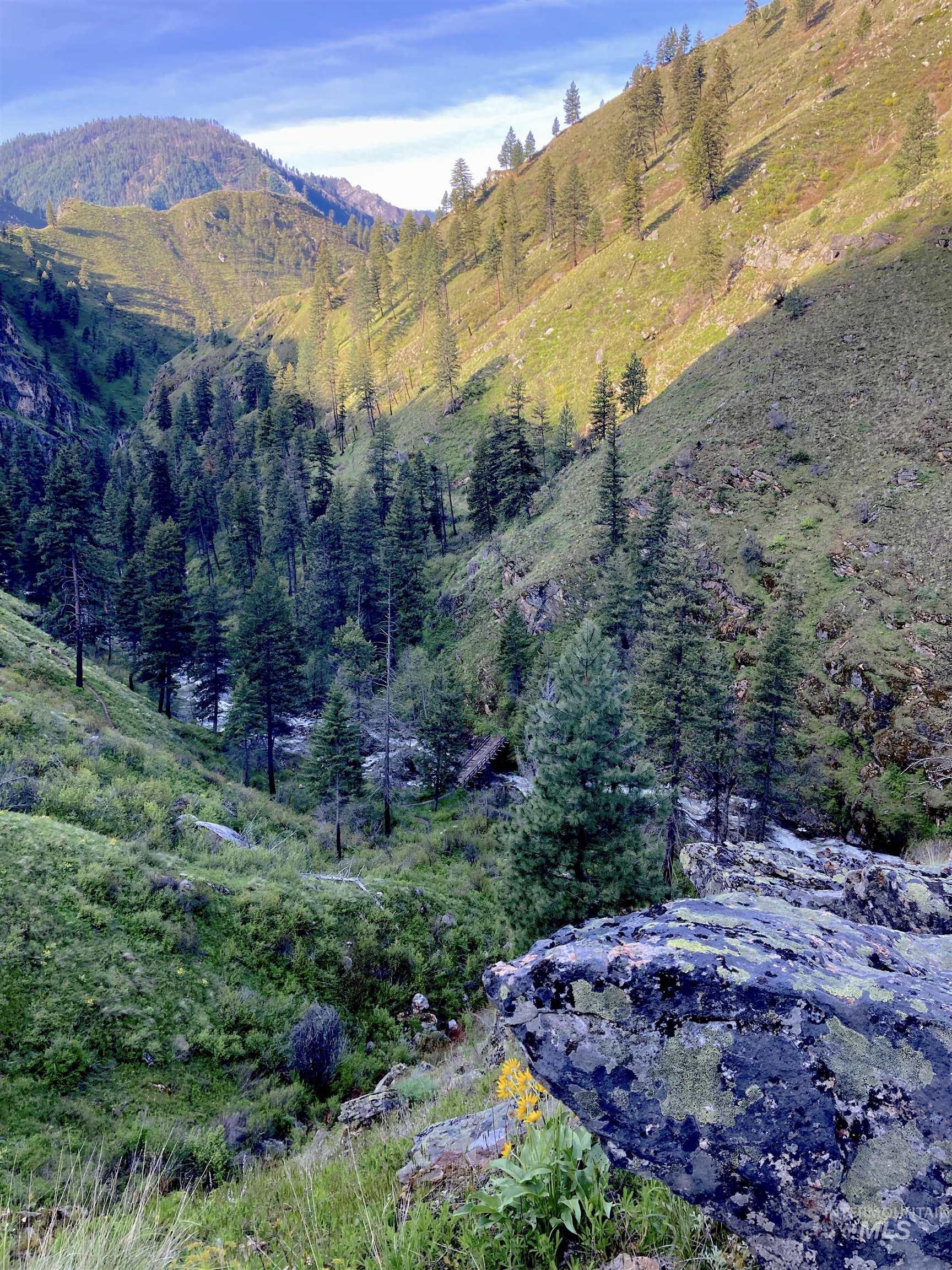 3869 Salmon River Road Riggins, ID 83549 - Photo 44 of 50