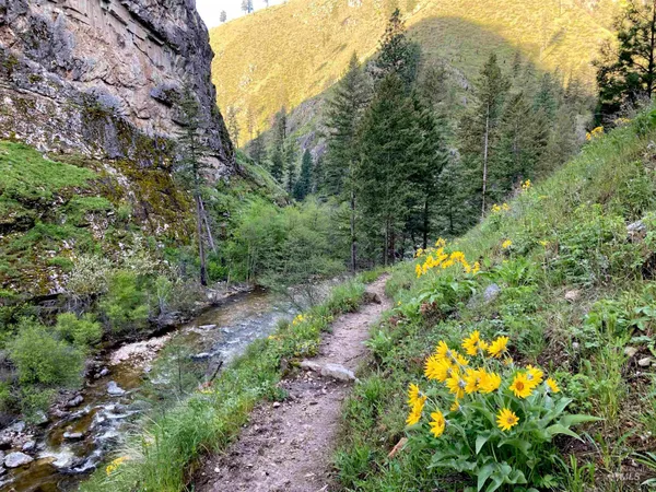 $975,000 | 3869 Salmon River Road, Riggins, ID 83549