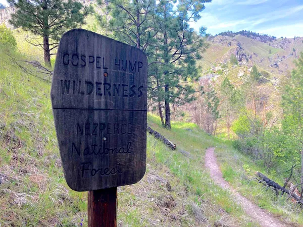 $975,000 | 3869 Salmon River Road, Riggins, ID 83549