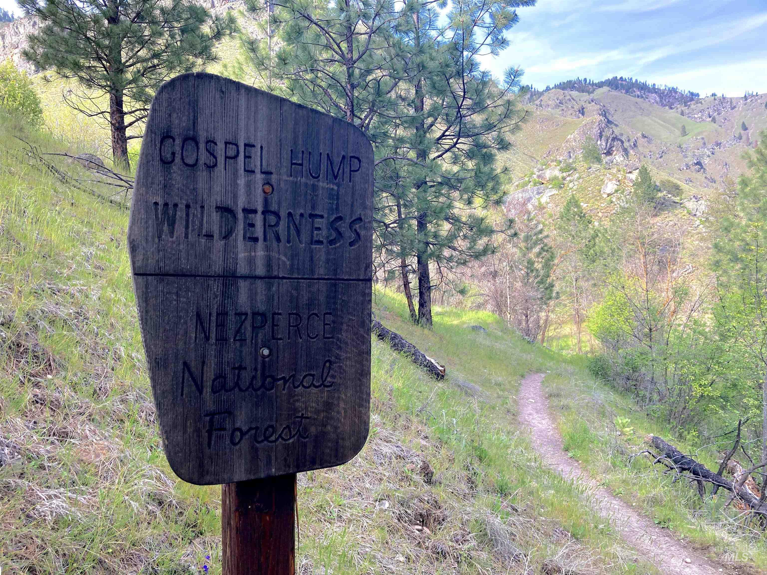 3869 Salmon River Road Riggins, ID 83549 - Photo 46 of 50