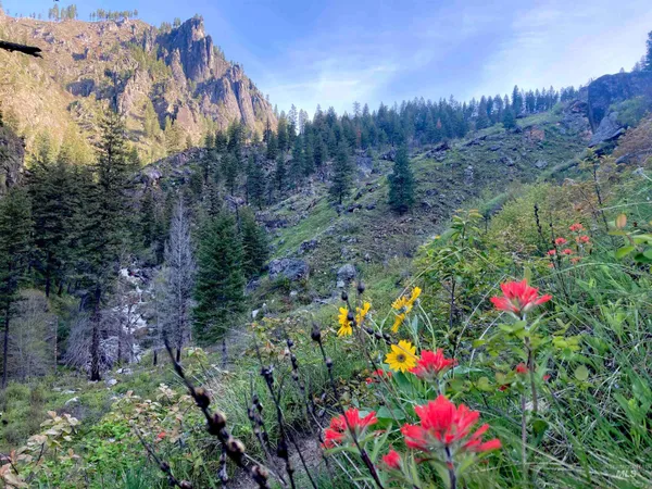 $975,000 | 3869 Salmon River Road, Riggins, ID 83549