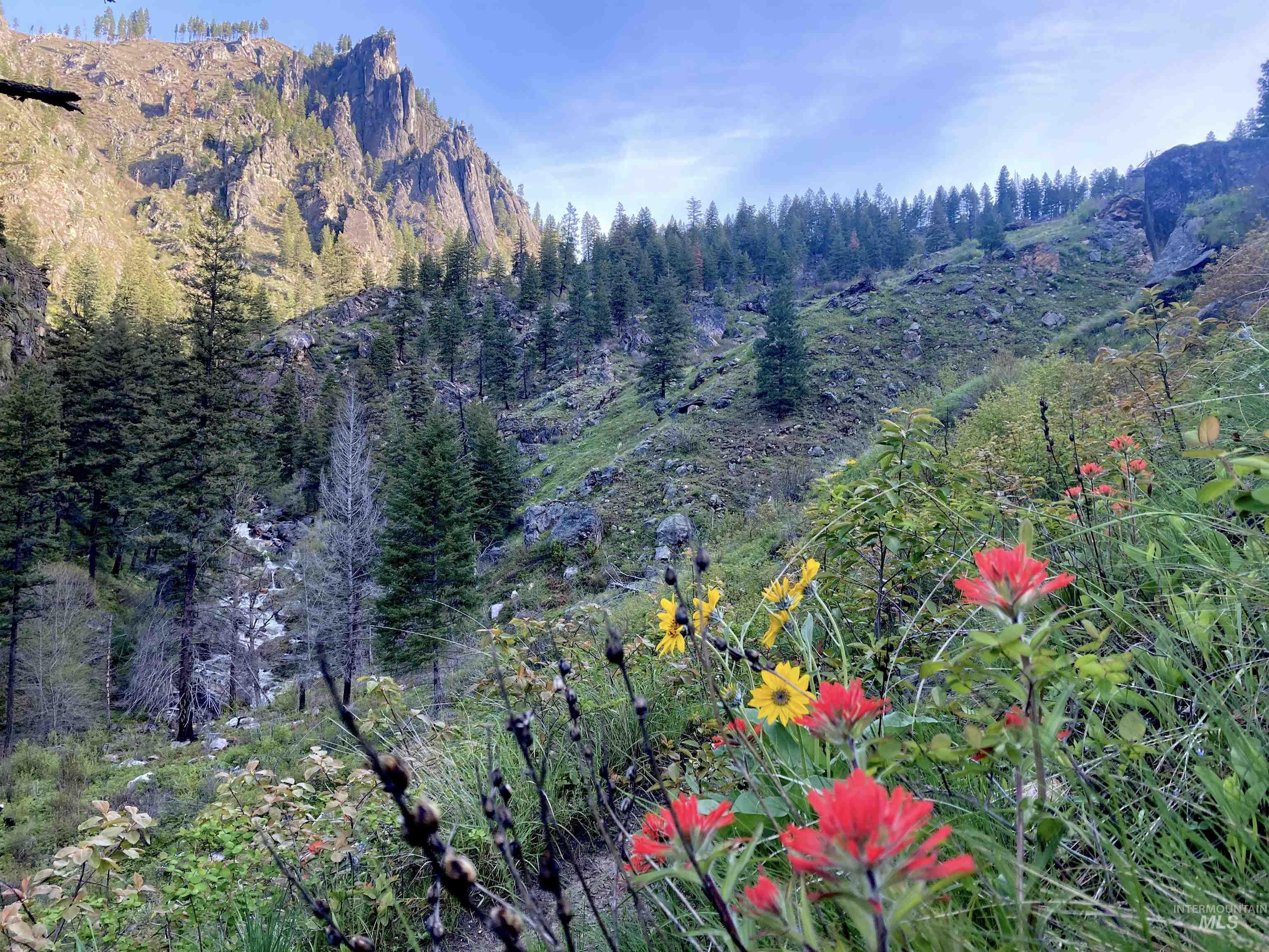 3869 Salmon River Road Riggins, ID 83549 - Photo 7 of 50