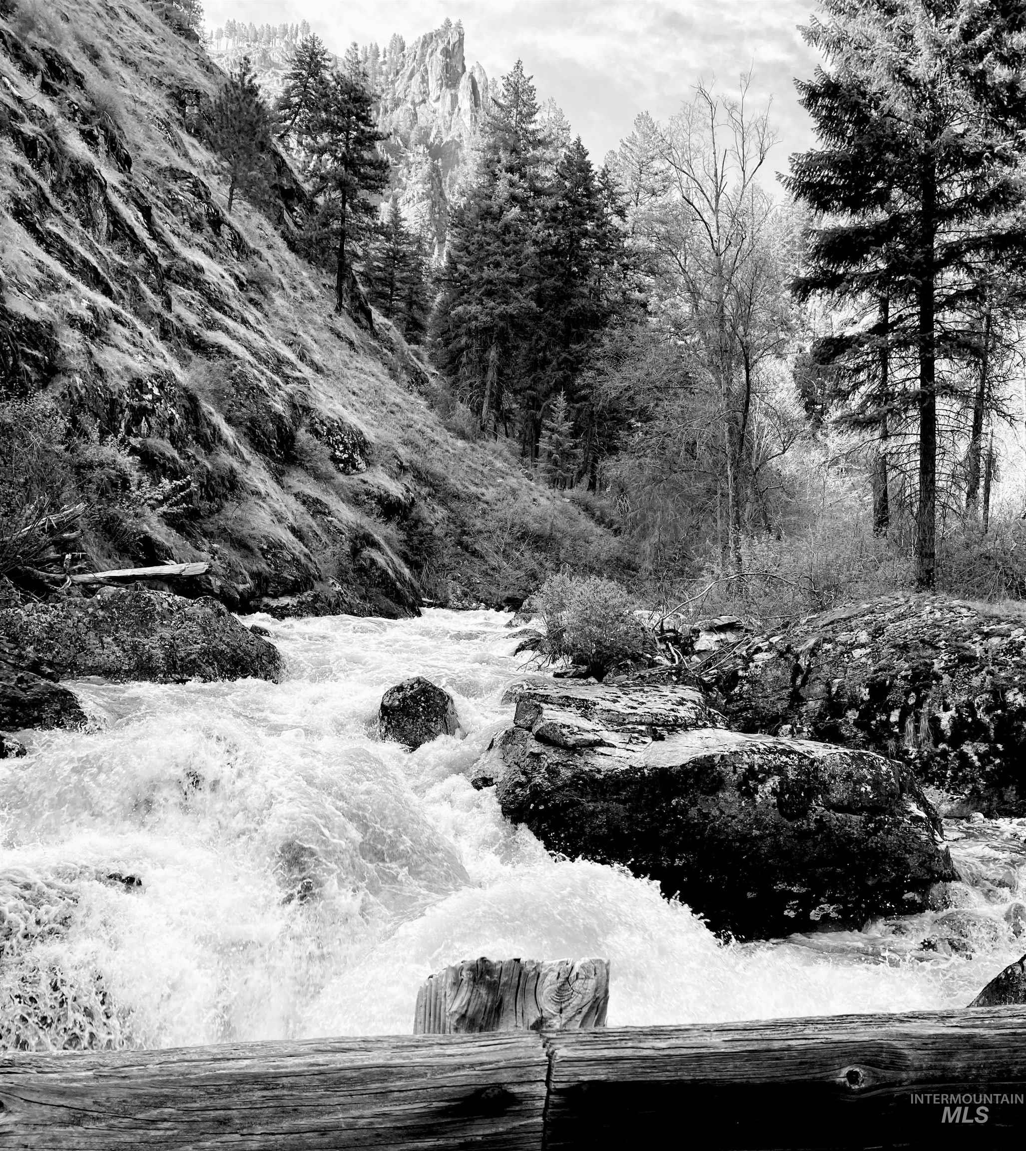 3869 Salmon River Road Riggins, ID 83549 - Photo 8 of 50