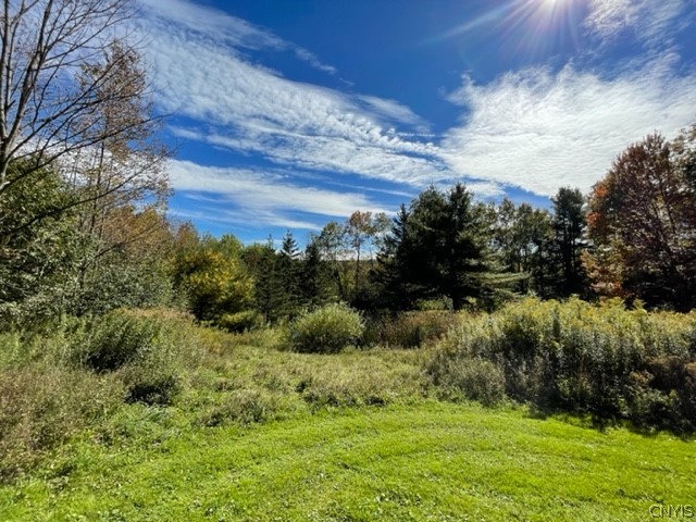 2523 Hatch Lake Road Nelson, NY 13061 - Photo 11 of 37