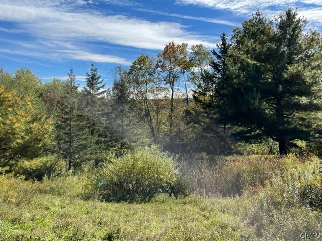 2523 Hatch Lake Road Nelson, NY 13061 - Photo 12 of 37