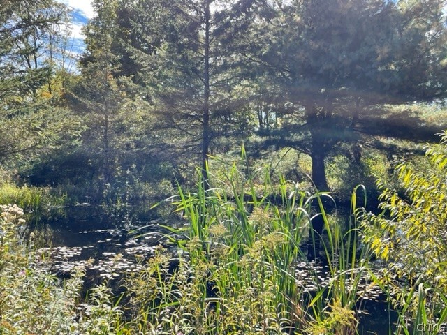 2523 Hatch Lake Road Nelson, NY 13061 - Photo 13 of 37 Pond at bottom left (SE) corner - 14' +/- deep.