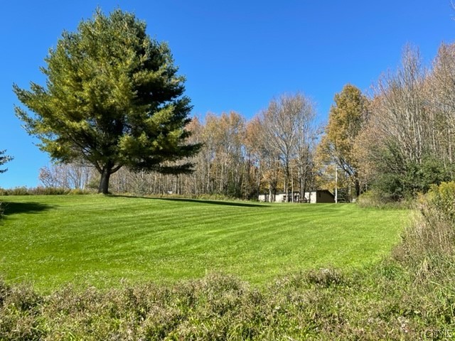 2523 Hatch Lake Road Nelson, NY 13061 - Photo 14 of 37