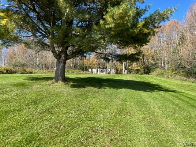 2523 Hatch Lake Road Nelson, NY 13061 - Photo 15 of 37