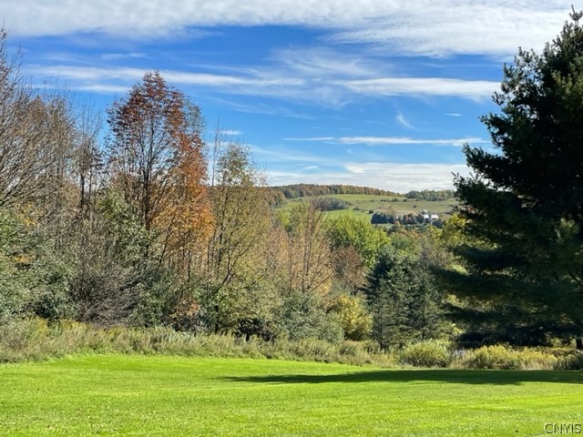 2523 Hatch Lake Road Nelson, NY 13061 - Photo 17 of 37