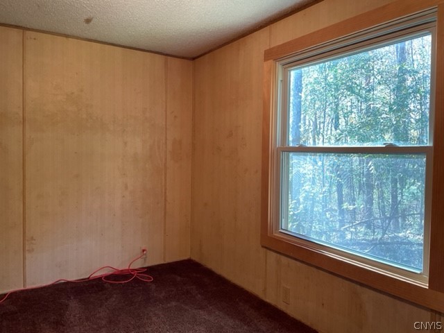 2523 Hatch Lake Road Nelson, NY 13061 - Photo 31 of 37