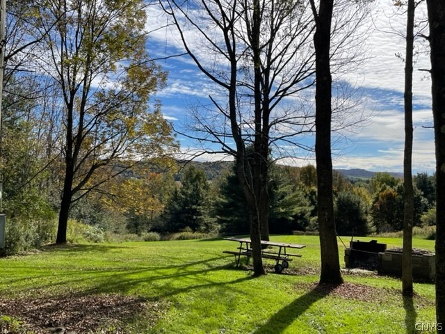 2523 Hatch Lake Road Nelson, NY 13061 - Photo 5 of 37