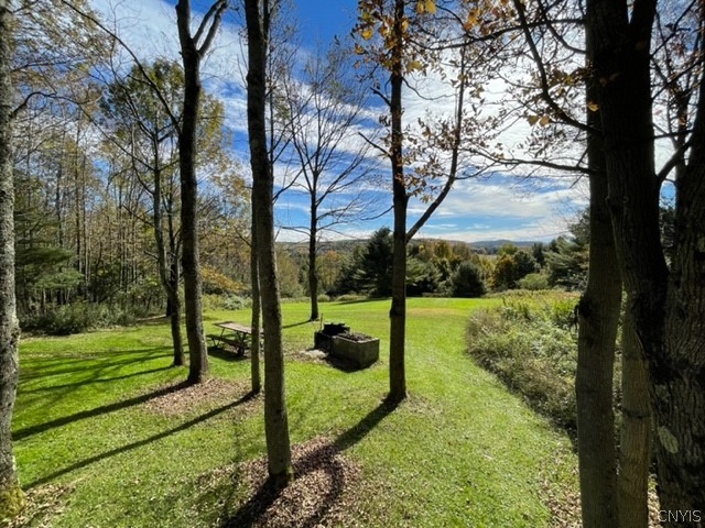 2523 Hatch Lake Road Nelson, NY 13061 - Photo 6 of 37