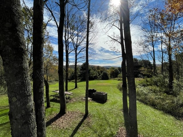 2523 Hatch Lake Road Nelson, NY 13061 - Photo 7 of 37