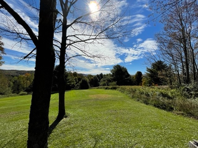 2523 Hatch Lake Road Nelson, NY 13061 - Photo 9 of 37