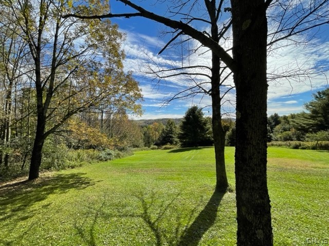 2523 Hatch Lake Road Nelson, NY 13061 - Photo 10 of 37