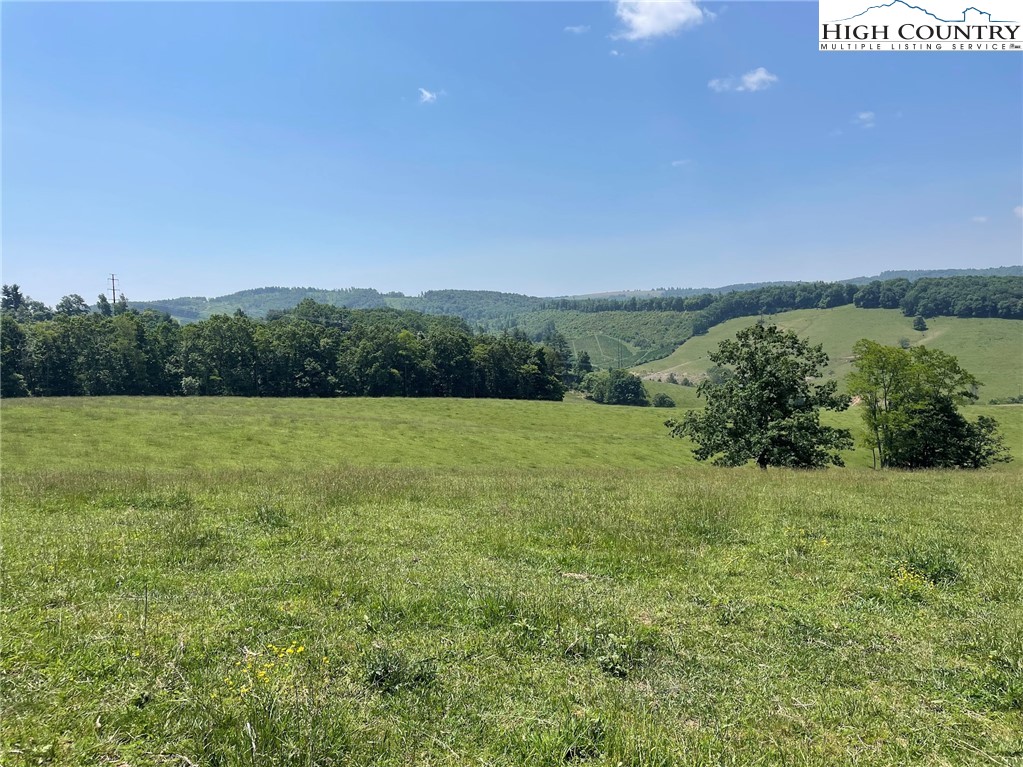 163 Bare Road West Jefferson, NC 28694 - Photo 23 of 37 Gallery Image 23