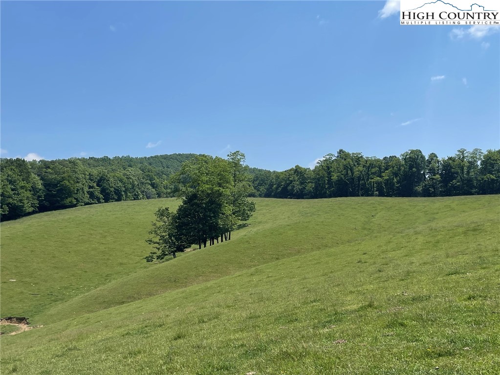 163 Bare Road West Jefferson, NC 28694 - Photo 27 of 37 Gallery Image 27