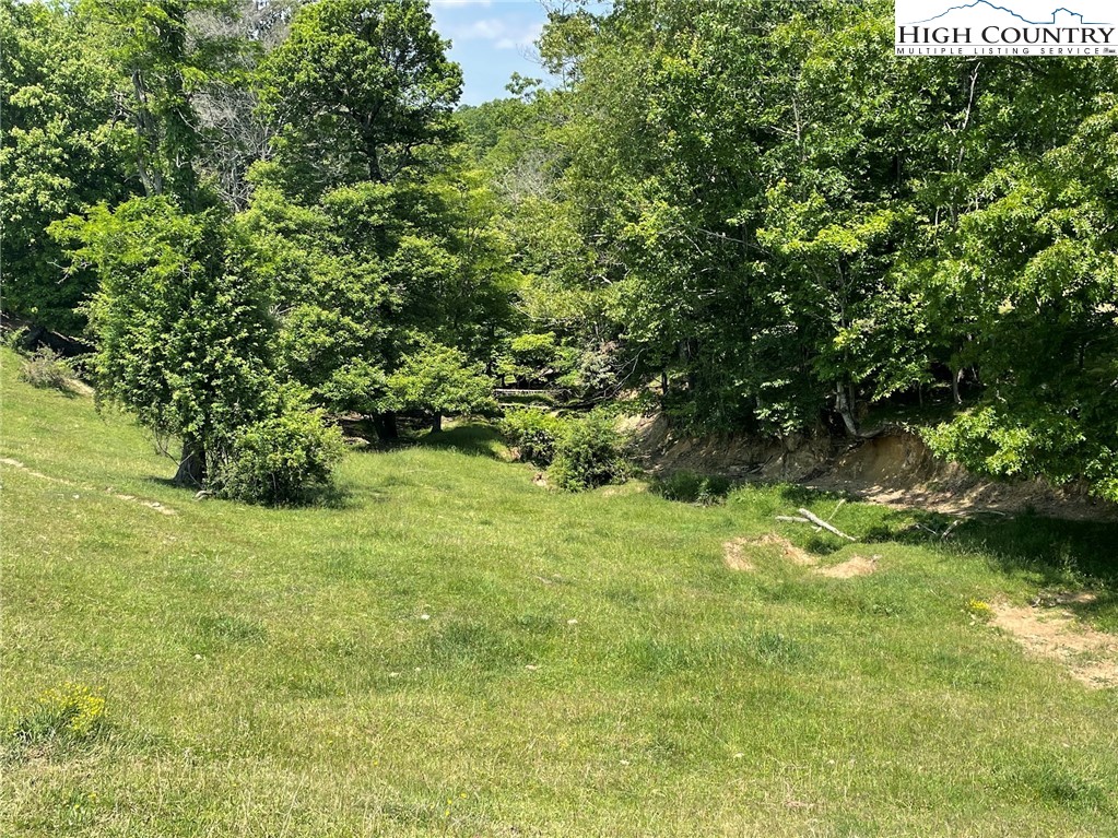 163 Bare Road West Jefferson, NC 28694 - Photo 31 of 37 Gallery Image 31