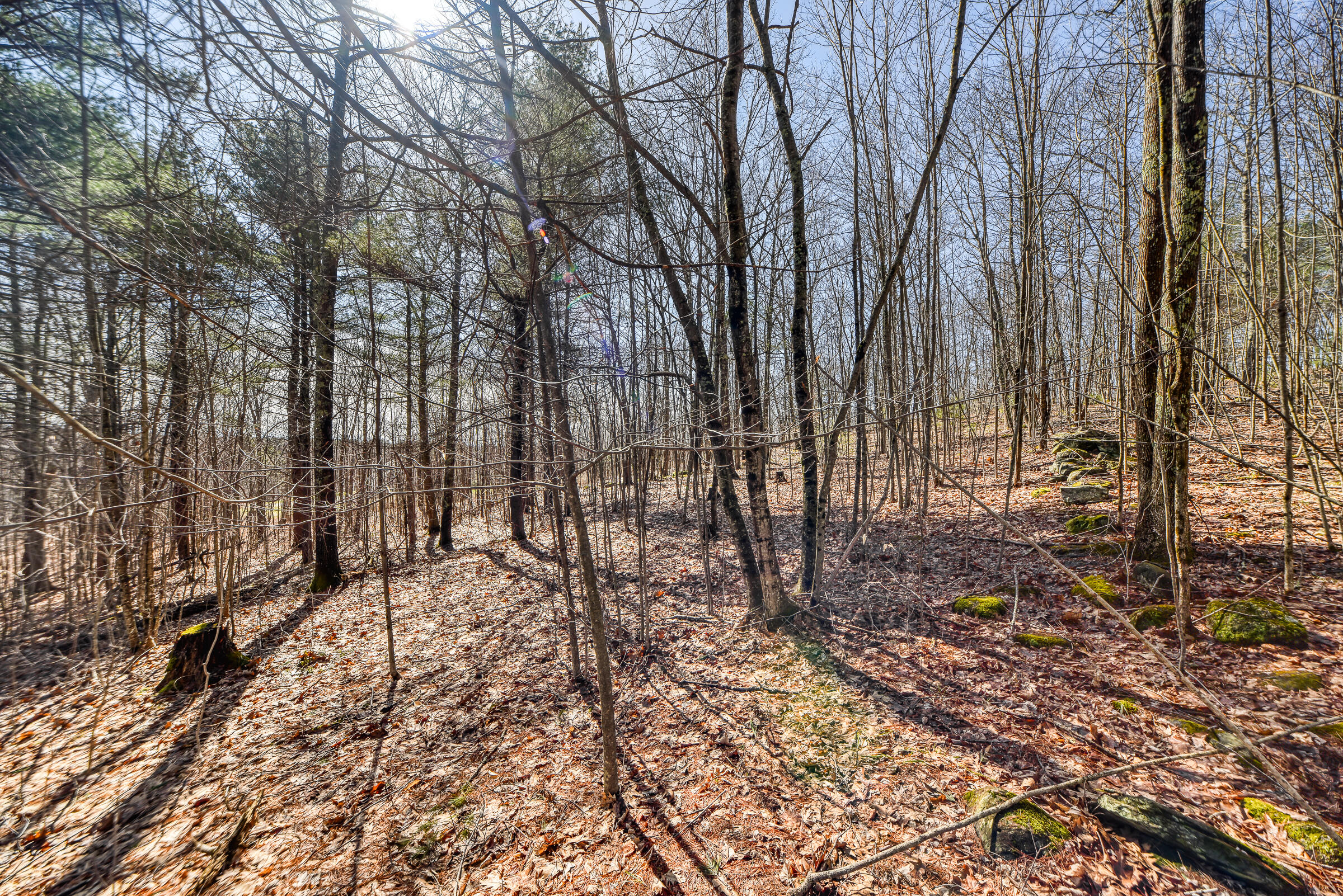 Lot 53-03 Langdon Road Richmond, ME 04357 - Photo 38 of 43 108695gr-123