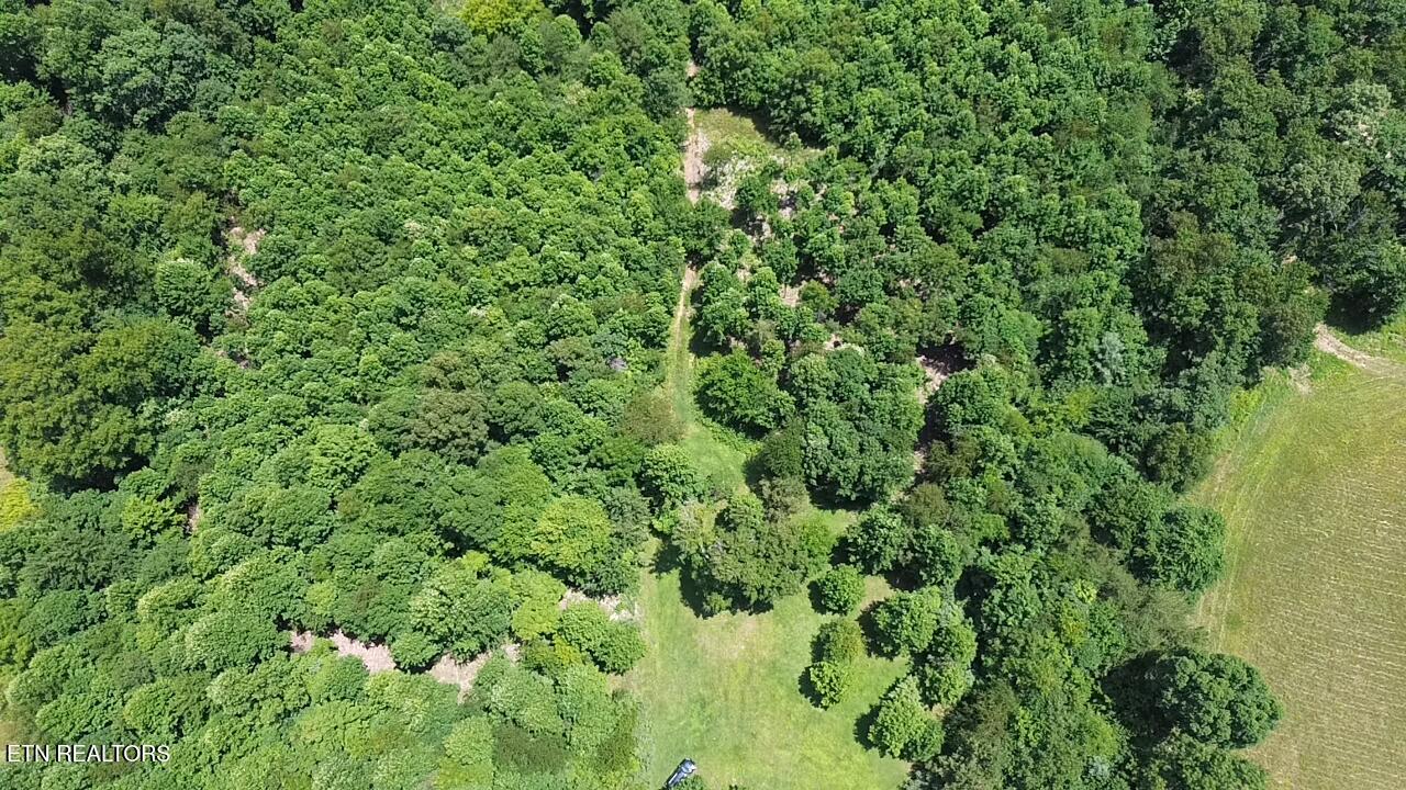 182 Nydeck Road Robbins, TN 37852 - Photo 3 of 23 2026-06-29-14-07-21-054 (1)