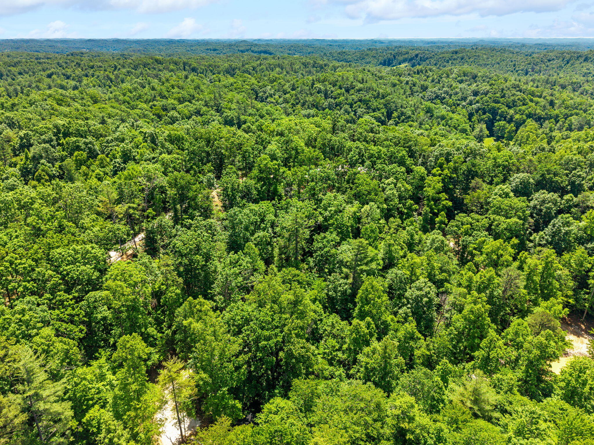 201 High Ridge Road Campton, KY 41301 - Photo 6 of 8 17-web-or-mls-DJI_20260529122927_0039_D