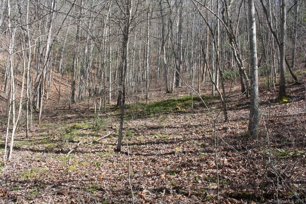 1313 Greasy Branch Road Bryson City, NC 28713 - Photo 1 of 10 a backyard of a house with lots of green space