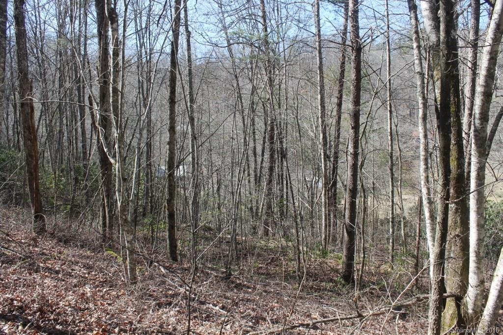 1313 Greasy Branch Road Bryson City, NC 28713 - Photo 3 of 10 a view of three trees