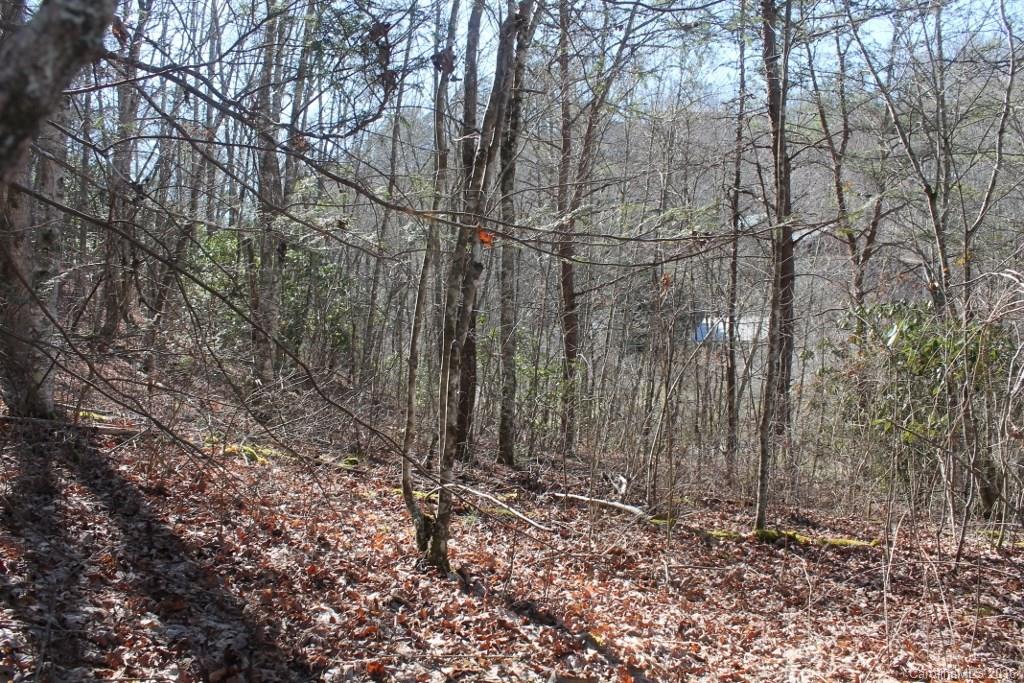1313 Greasy Branch Road Bryson City, NC 28713 - Photo 10 of 10 a view of a backyard of the house