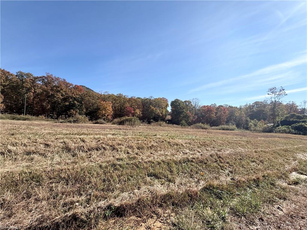 0 Reid Road King, NC 27021 - Photo 7 of 41