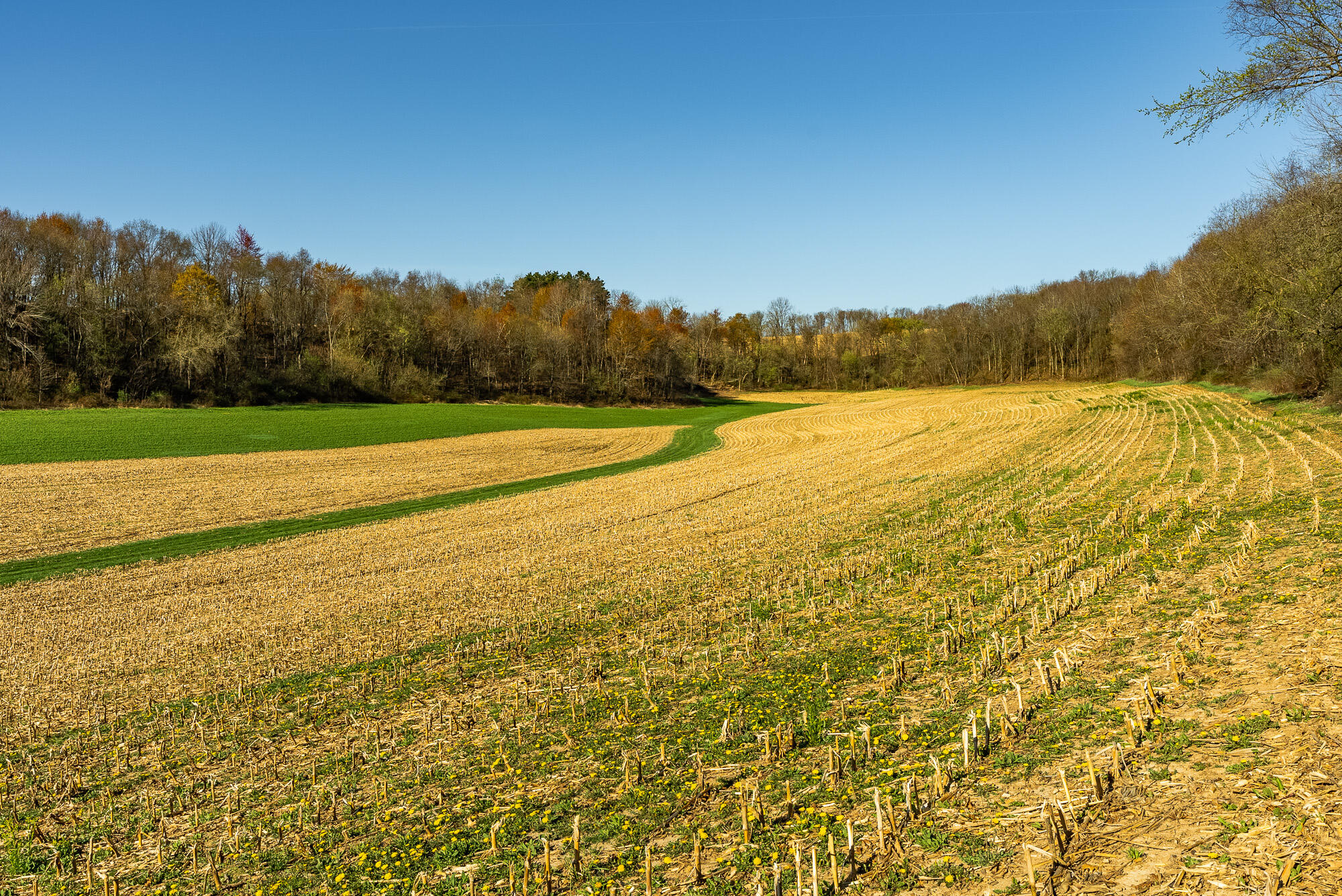 Lt3 Eli Valley Road Hillpoint, WI 53937 - Photo 11 of 15 Sauk-County-WI-28-Acres-Land-For-Sale-11
