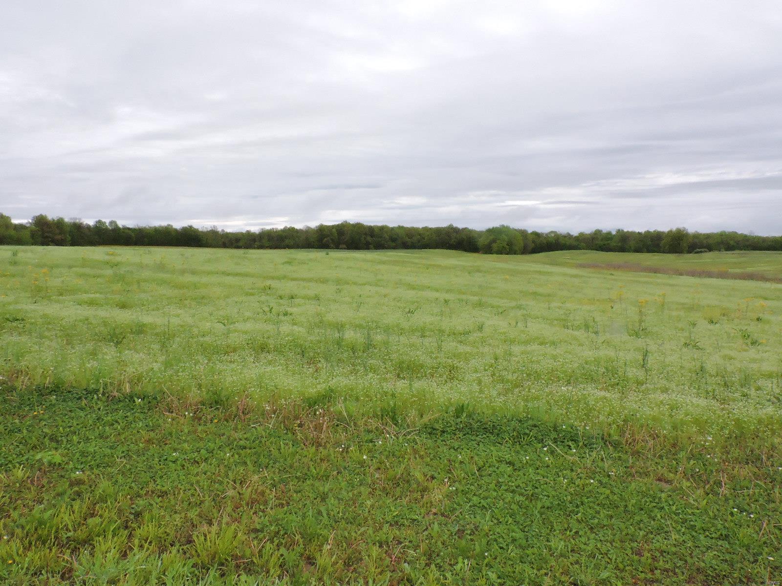 807 Casey Road Murphysboro, IL 62966 - Photo 1 of 18