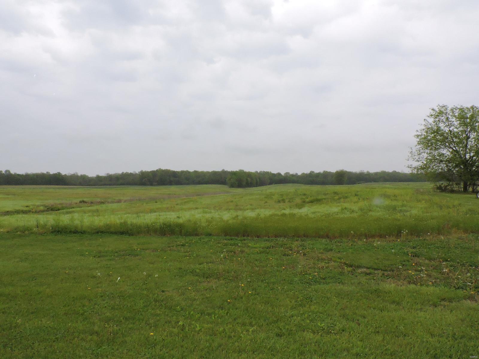 807 Casey Road Murphysboro, IL 62966 - Photo 14 of 18