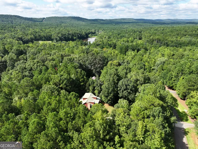 a view of a lush green forest with trees and grass