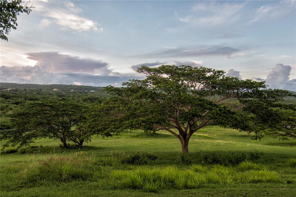 1 El Cerro Vieques, PR 00765 - Photo 35 of 85