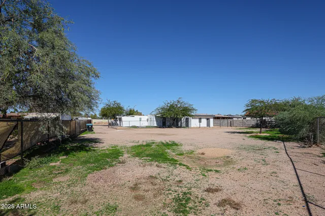 a view of a yard with plants and trees