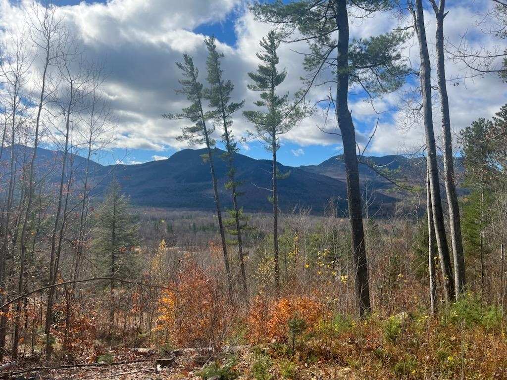 84 Parker Ridge Road, Unit A35 Bartlett, NH 03838 - Photo 1 of 10