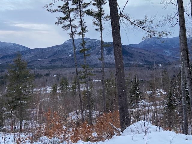 84 Parker Ridge Road, Unit A35 Bartlett, NH 03838 - Photo 5 of 10