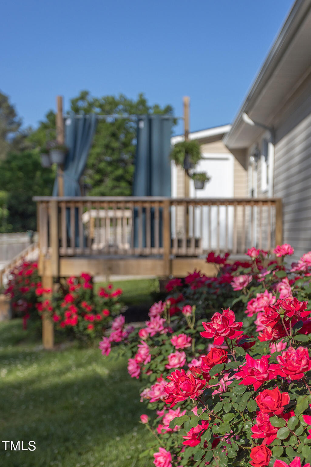 907 Cook Road Durham, NC 27713 - Photo 27 of 37 Backyard Roses