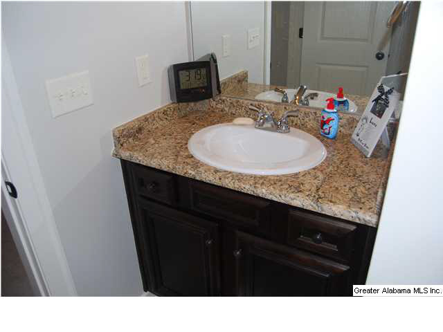 3847 Bent River Road Hoover, AL 35216 - Photo 20 of 22